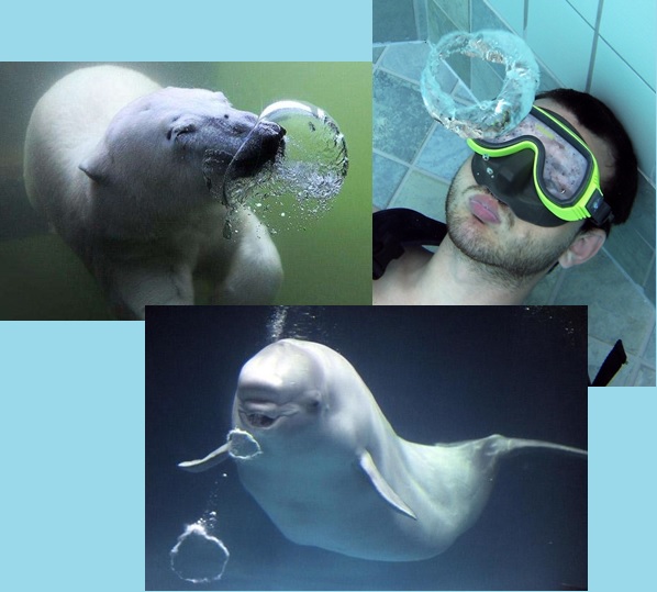 bubbles